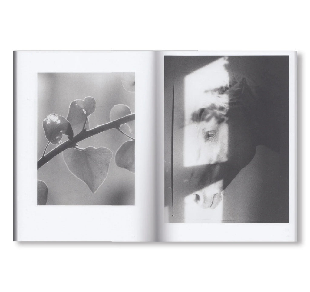 Jochen Lempert - Natural Sources
