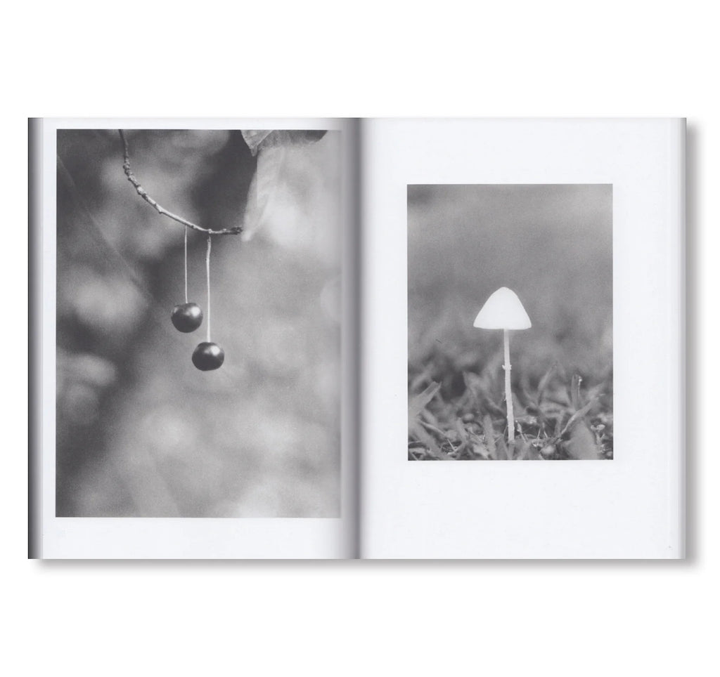 Jochen Lempert - Natural Sources