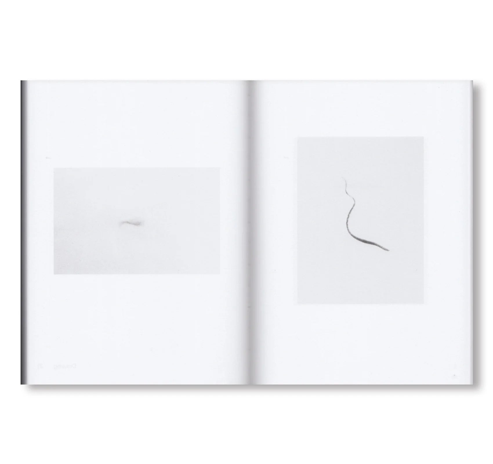 Jochen Lempert - Natural Sources – Yvon Lambert Paris