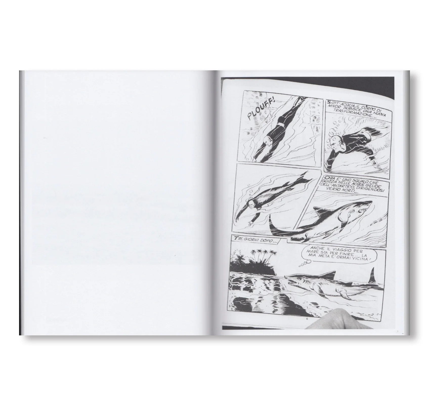 Jochen Lempert - Natural Sources – Yvon Lambert Paris