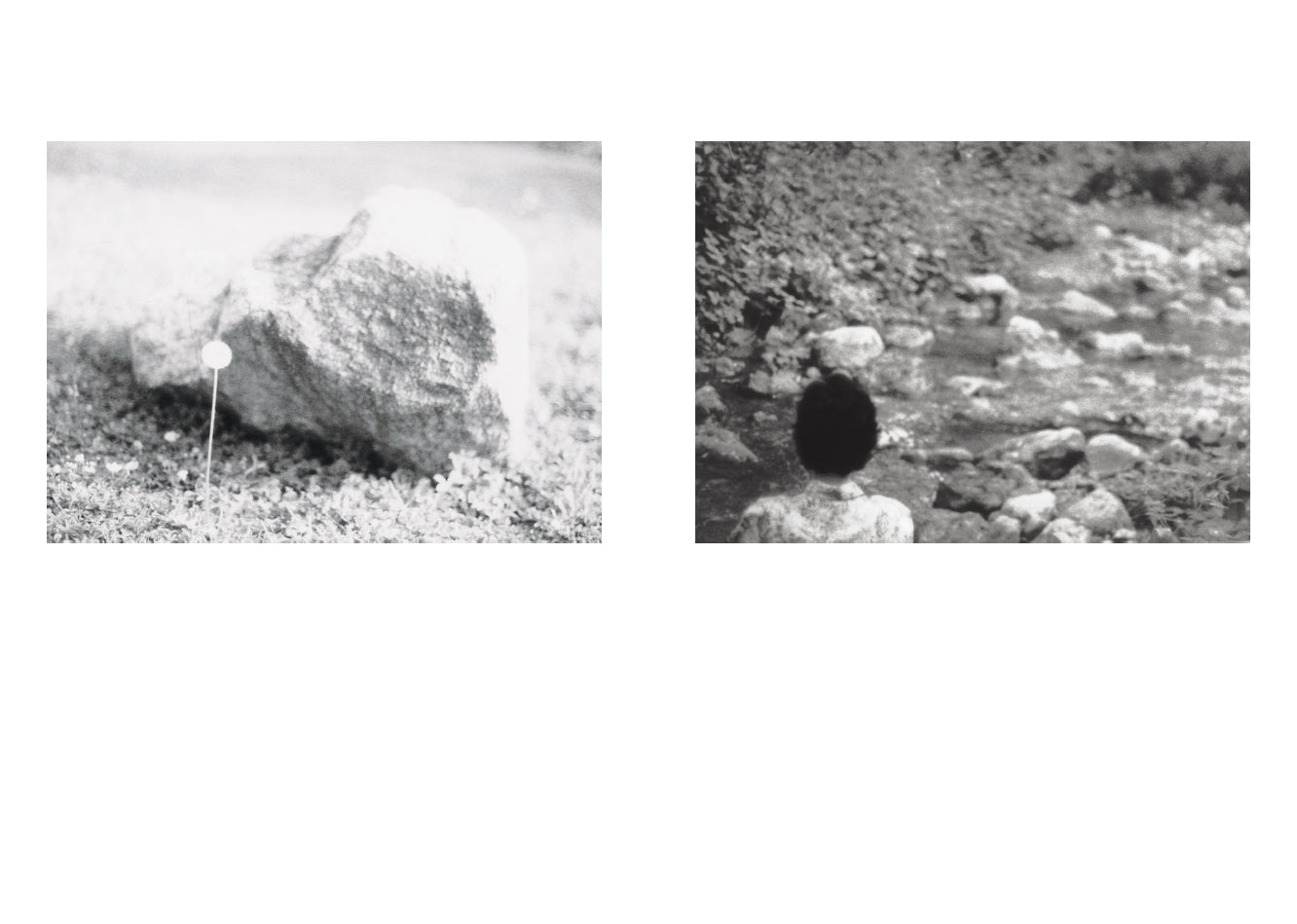 Jochen Lempert - Local Ecology - Moulin des Ribes