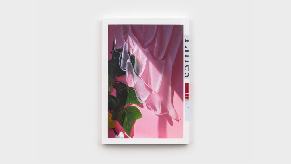 David Gilbert - Lillies