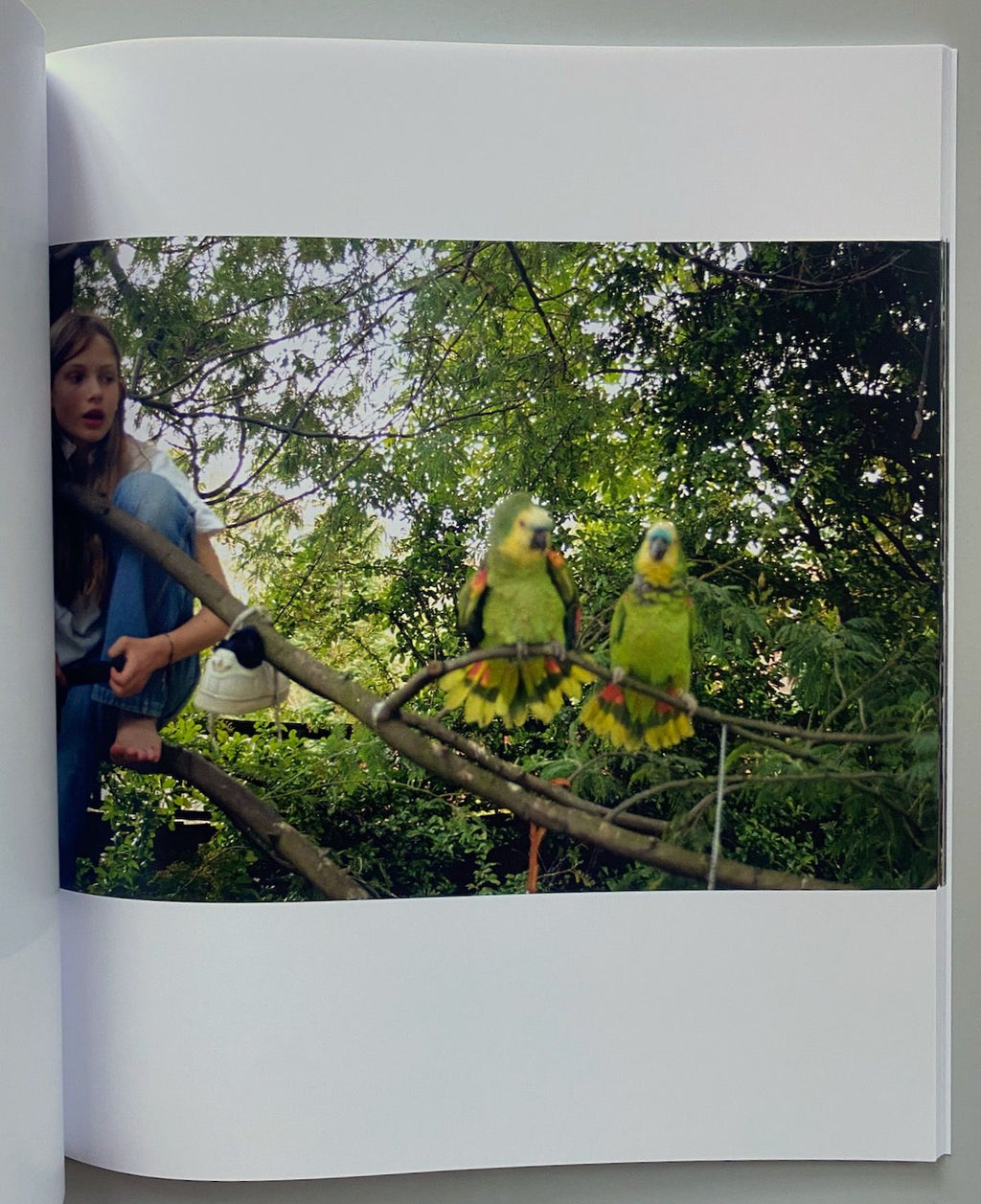 Angela Hill - Sylvia Zine