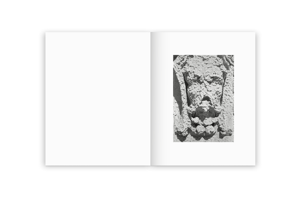 Irina Rozovsky & Mark Steinmetz - Insieme