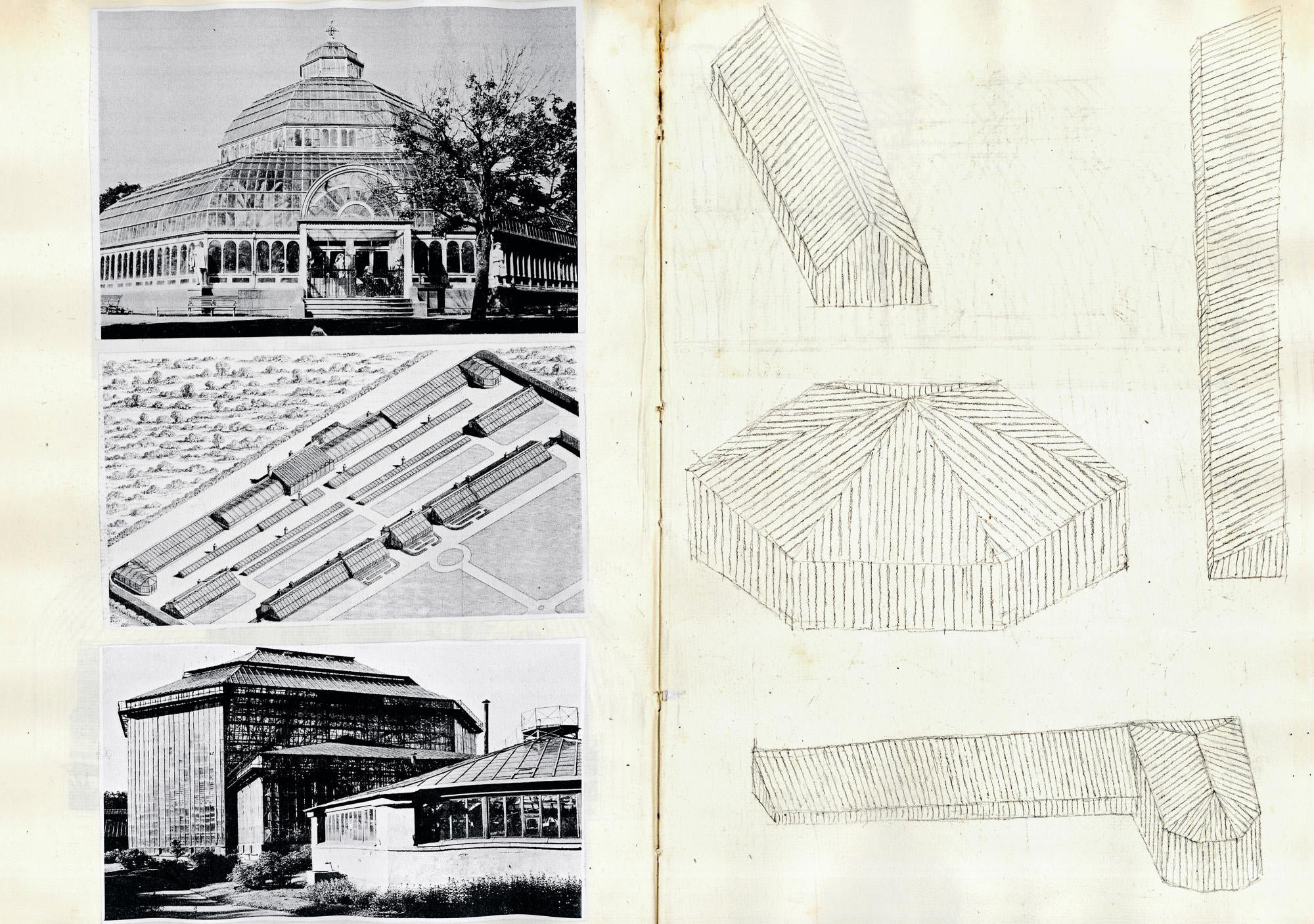 Philippe Weisbecker - Greenhouse Studies