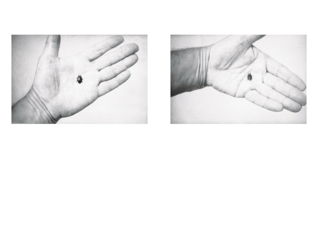Jochen Lempert - Local Ecology - Moulin des Ribes