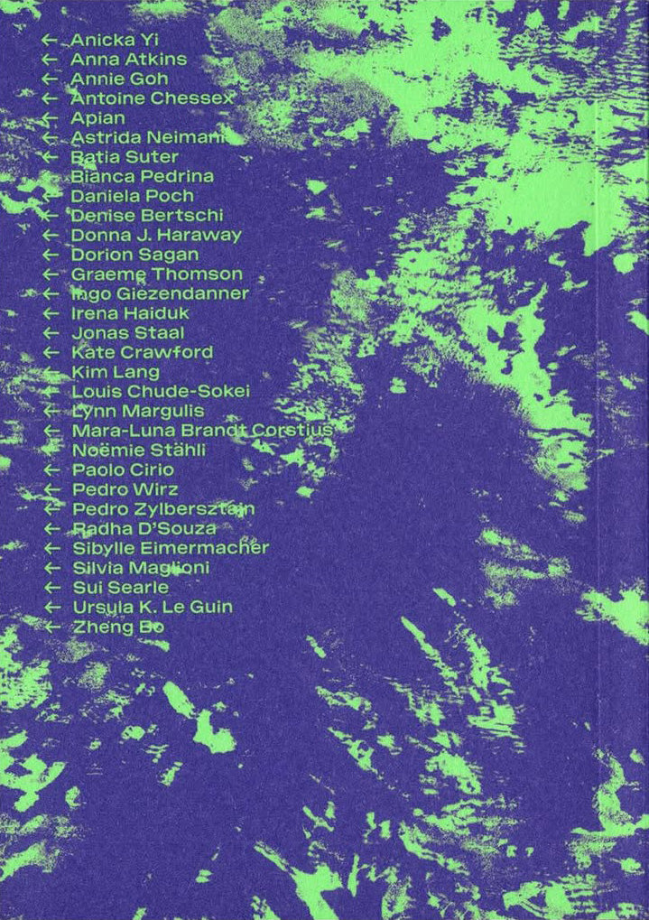 Eco Echoes — Notes on Echoecologies
