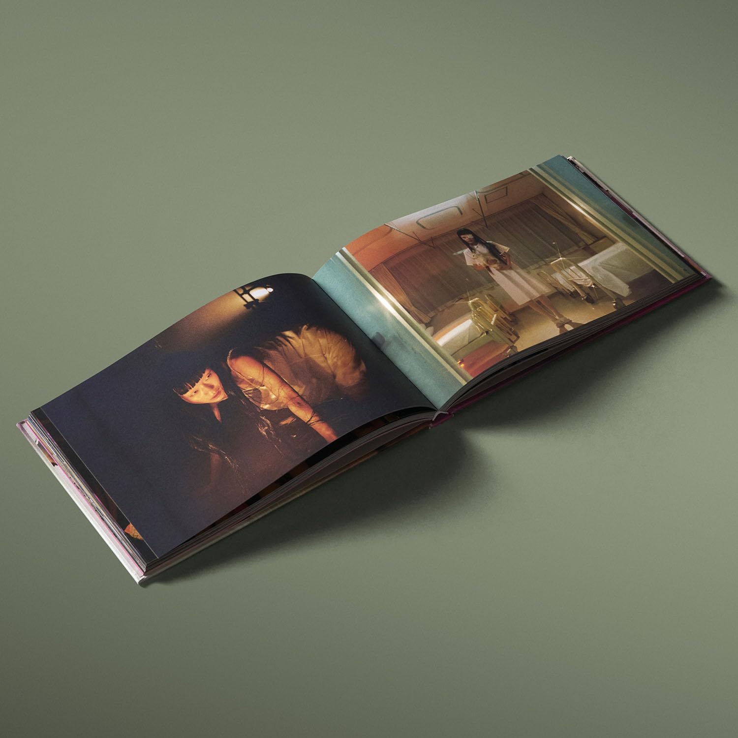 Petra Collins - Star – Yvon Lambert Paris