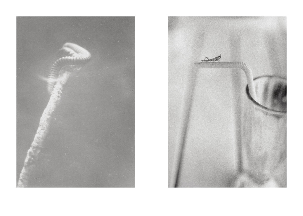 Jochen Lempert - Local Ecology - Kastellorizo