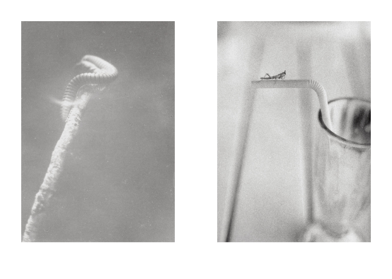 Jochen Lempert - Local Ecology - Kastellorizo