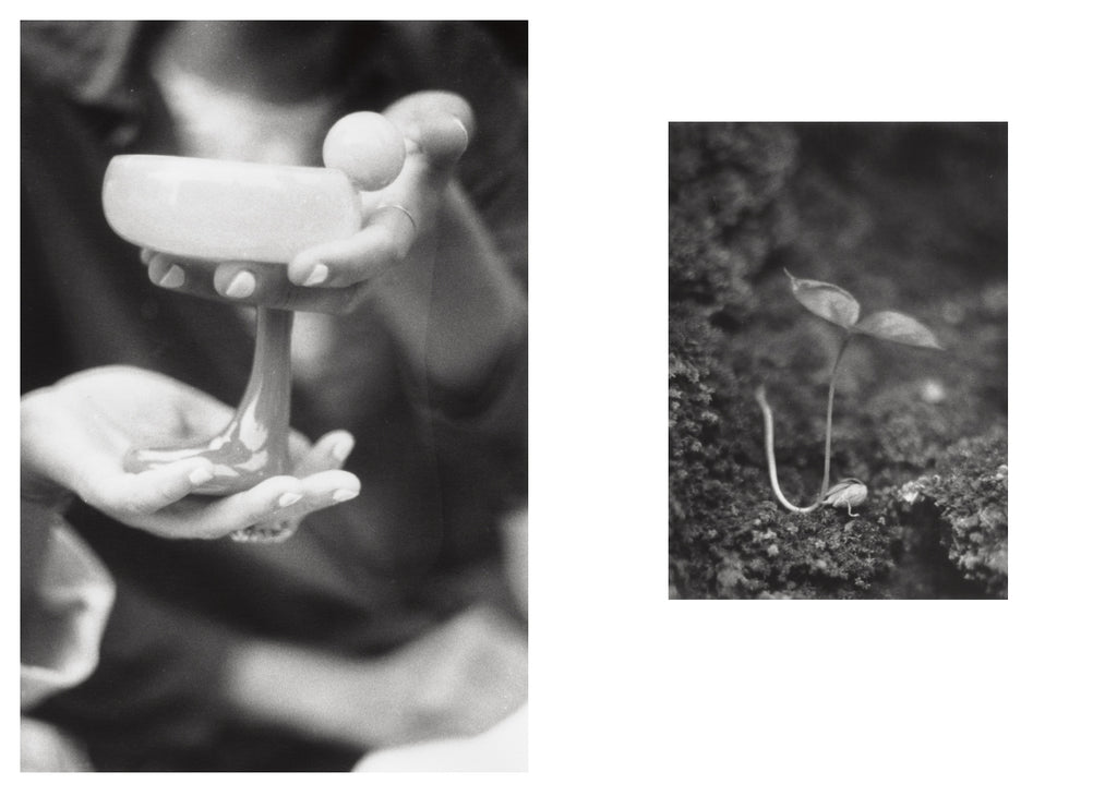 Jochen Lempert - Local Ecology - Moulin des Ribes