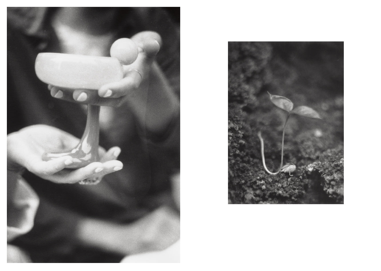 Jochen Lempert - Local Ecology - Moulin des Ribes