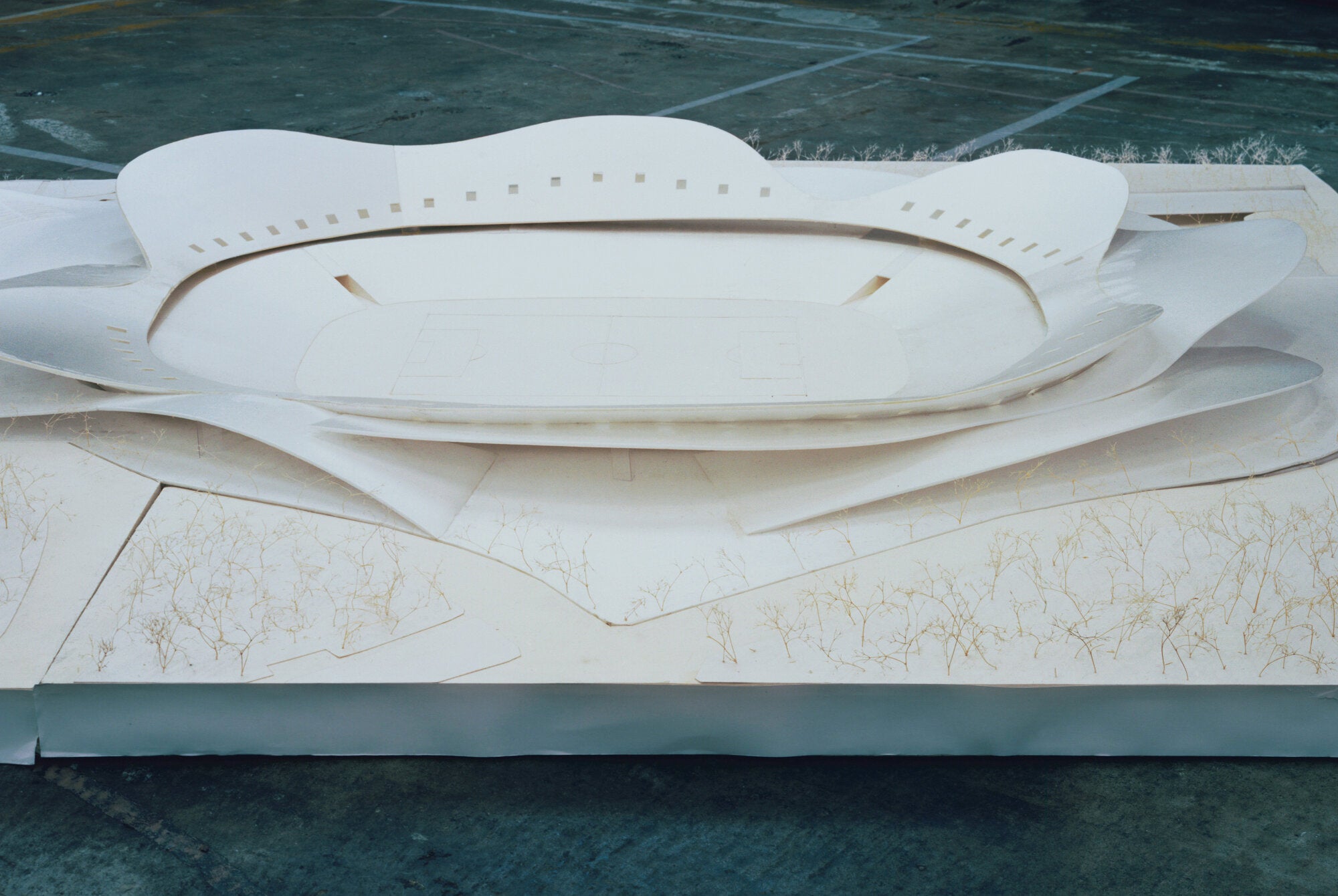 Takashi Homma - Tokyo Olympia