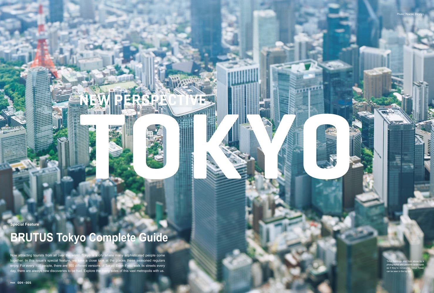 Brutus - New Perspective Tokyo