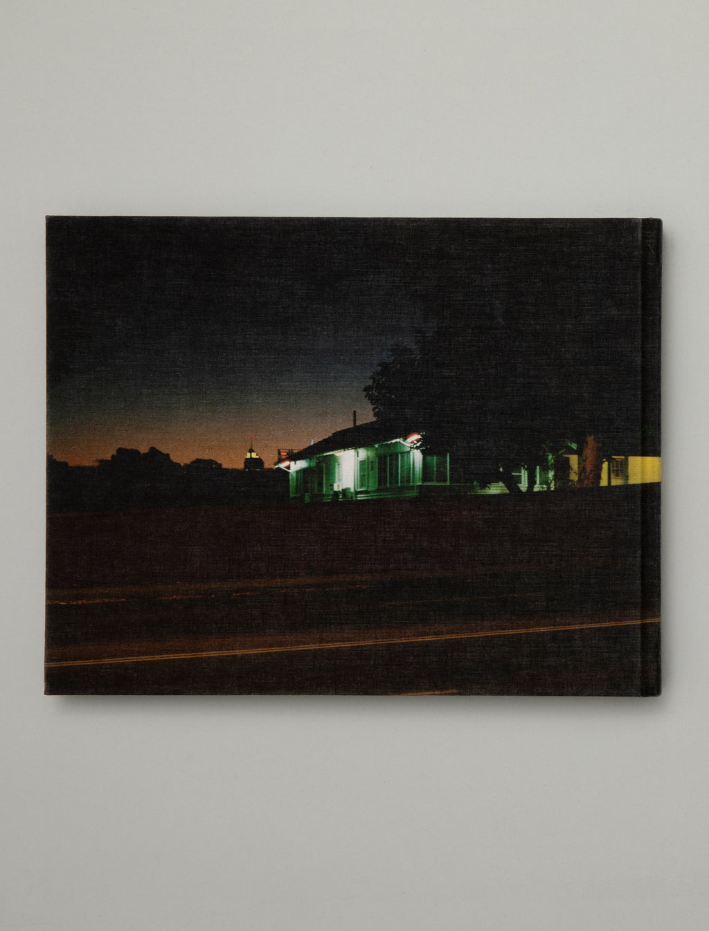 Adam Peter Johnson - No Birds