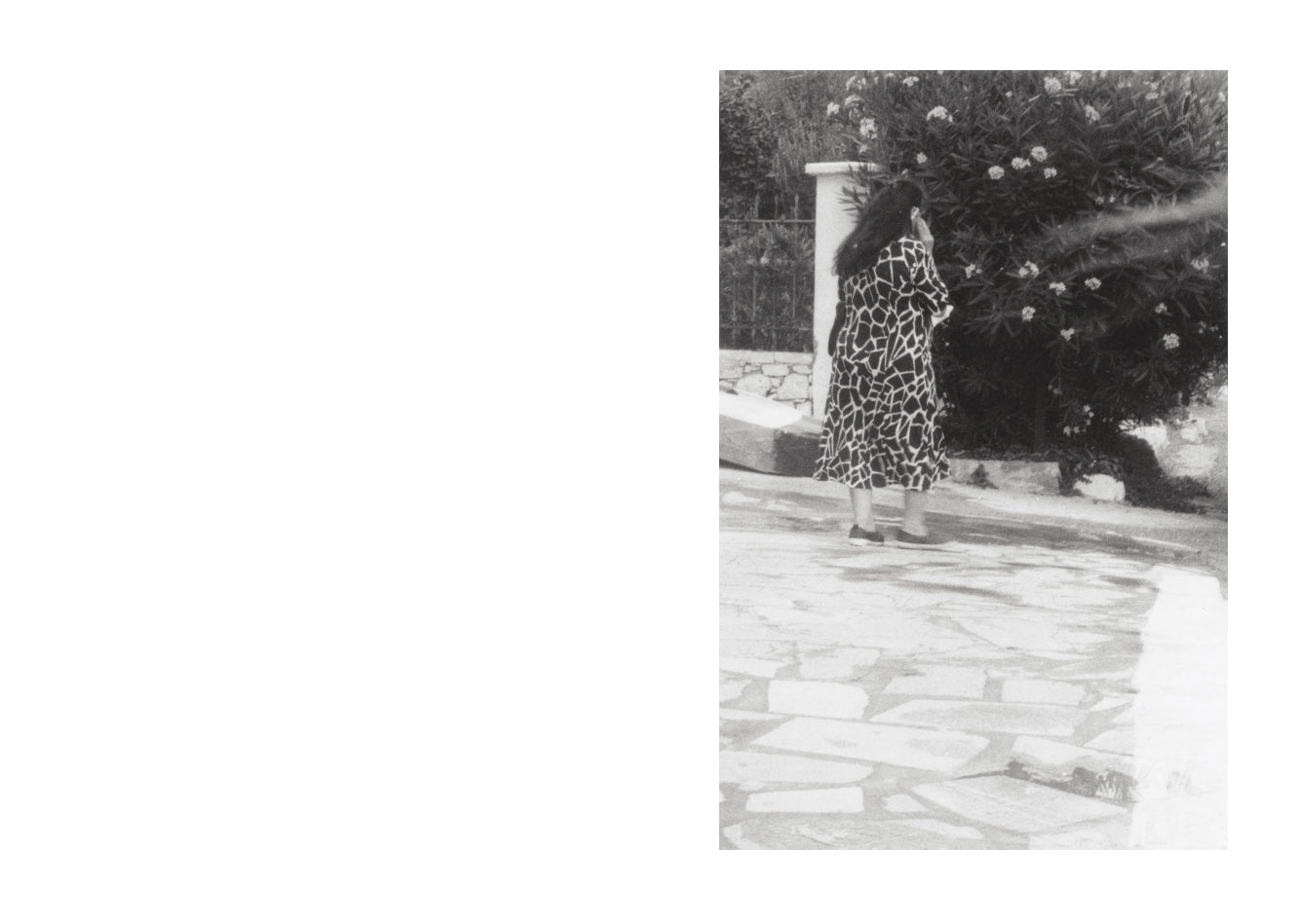 Jochen Lempert - Local Ecology - Kastellorizo