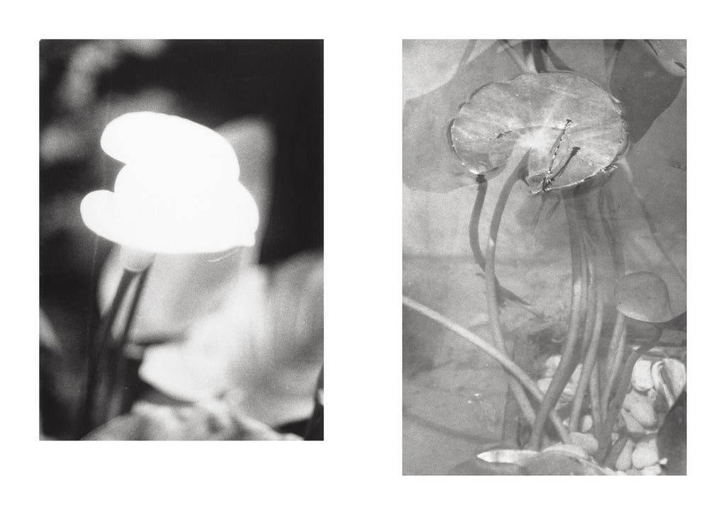Jochen Lempert - Local Ecology - Moulin des Ribes