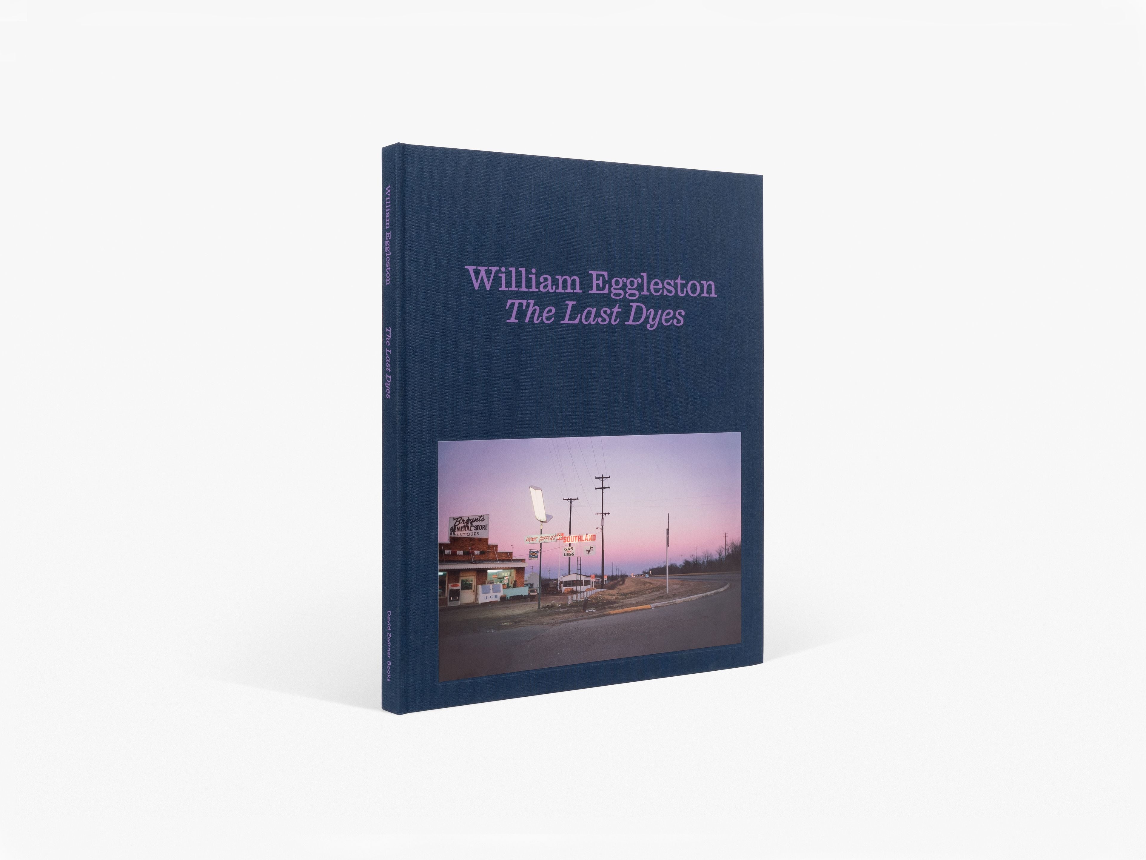 William Eggleston - The Last Dyes – Yvon Lambert Paris