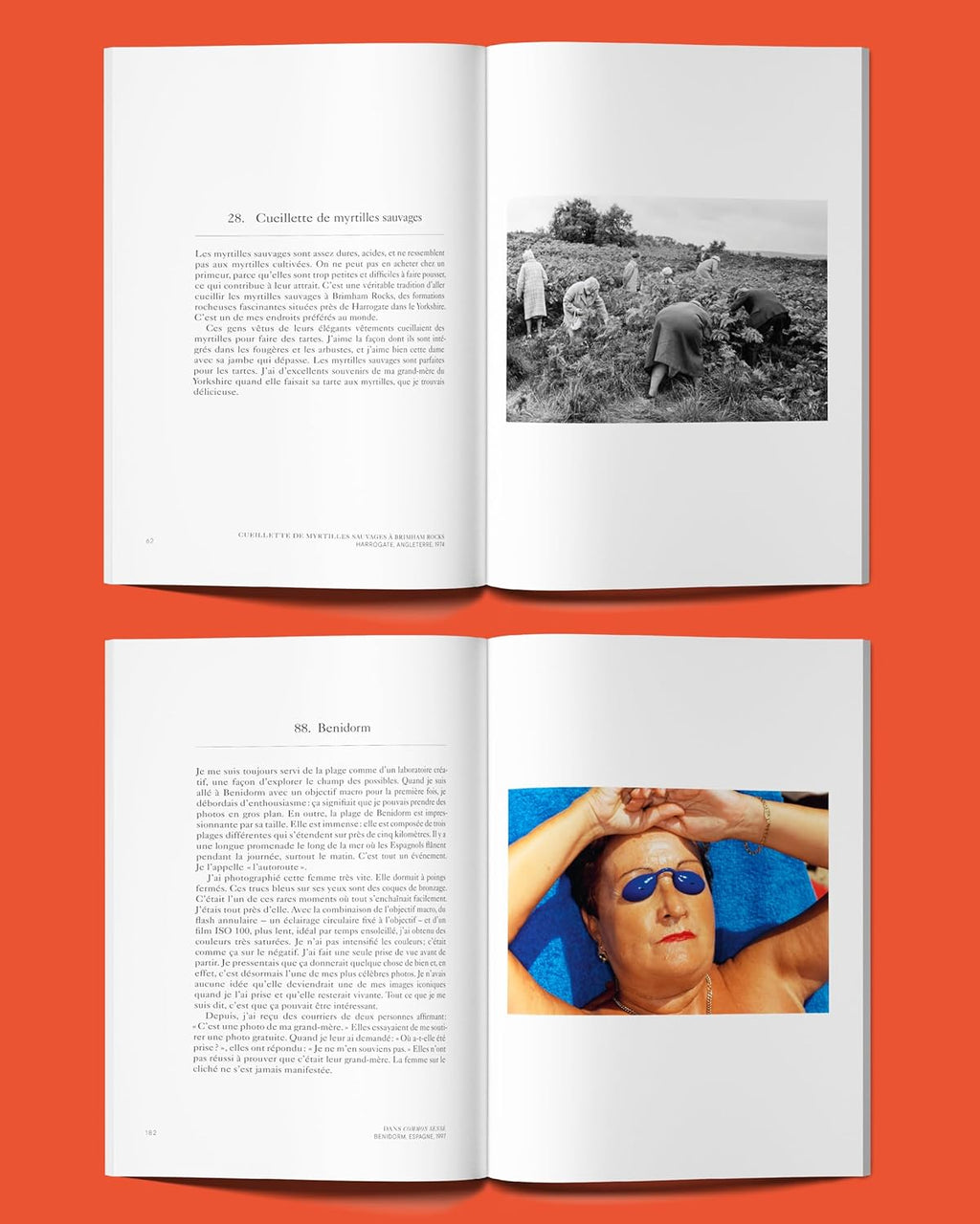 Martin Parr, Wendy Jones - Complètement paresseux et étourdi