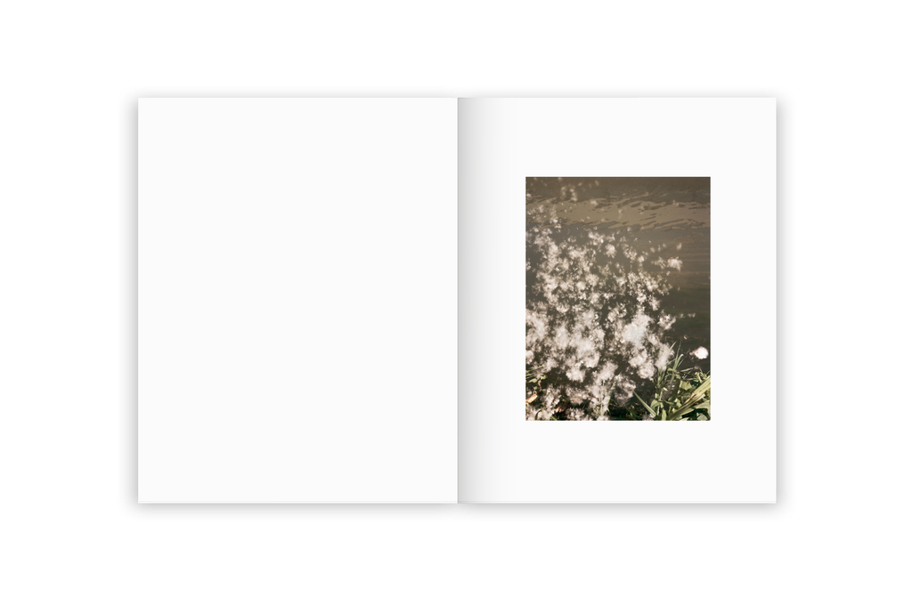 Irina Rozovsky & Mark Steinmetz - Insieme