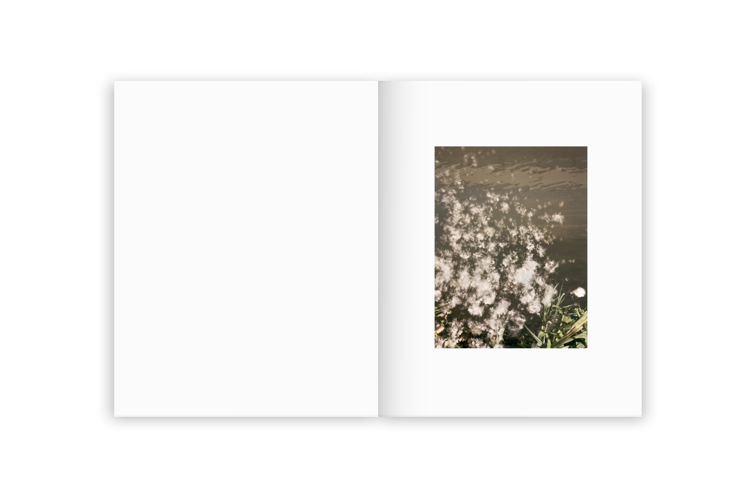 Irina Rozovsky & Mark Steinmetz - Insieme