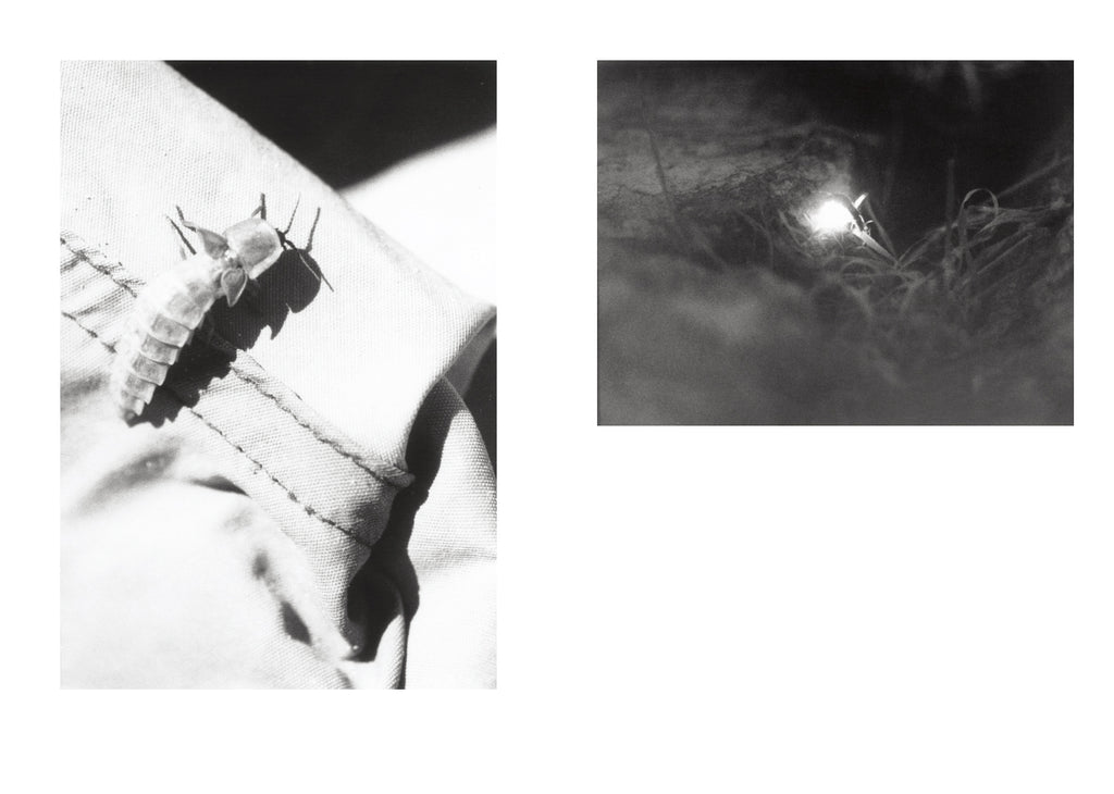 Jochen Lempert - Local Ecology - Kastellorizo
