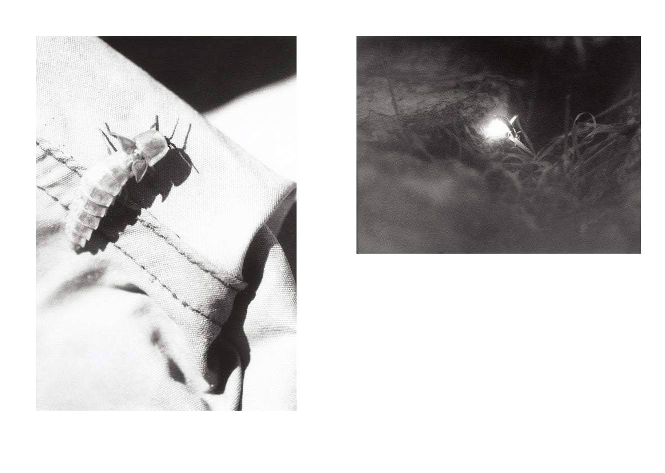 Jochen Lempert - Local Ecology - Kastellorizo