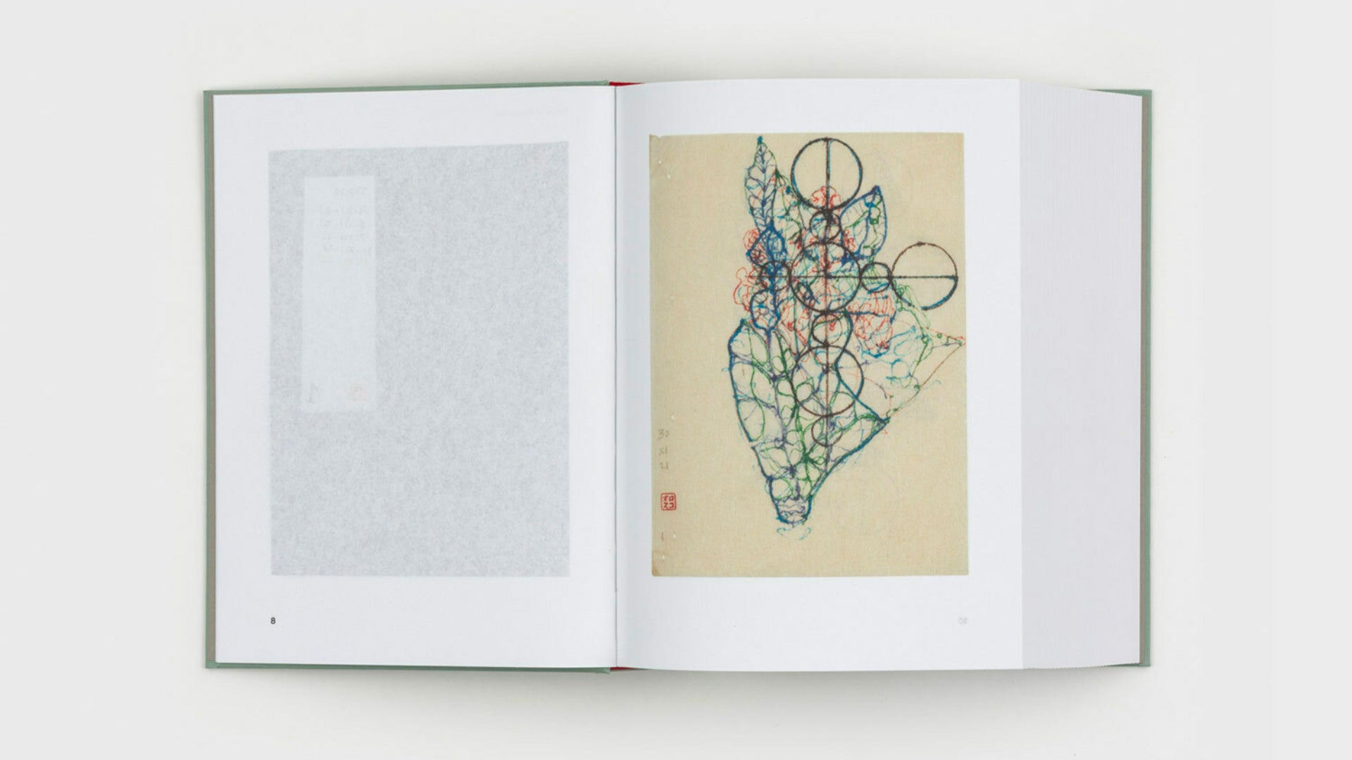 Gabriel Orozco - Diario de Plantas