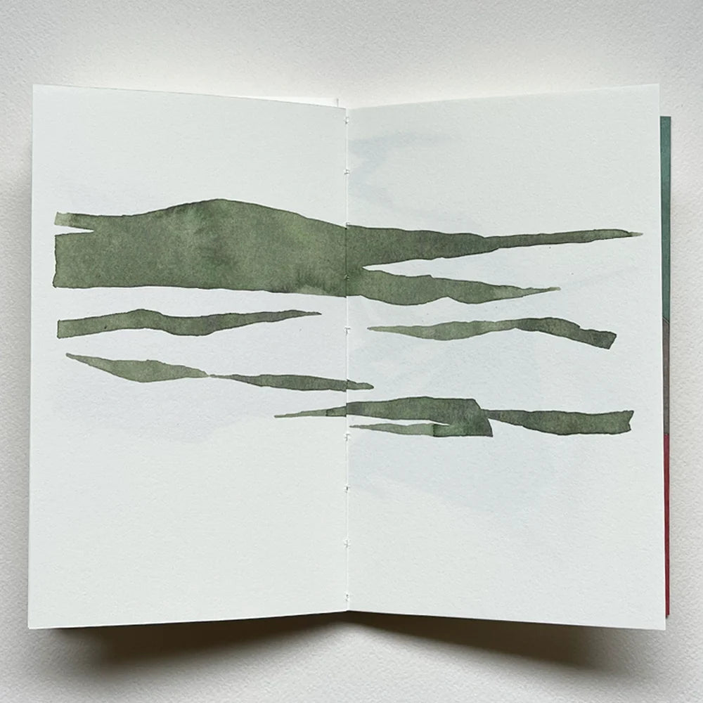 Nigel Peake - As if it is (Book)