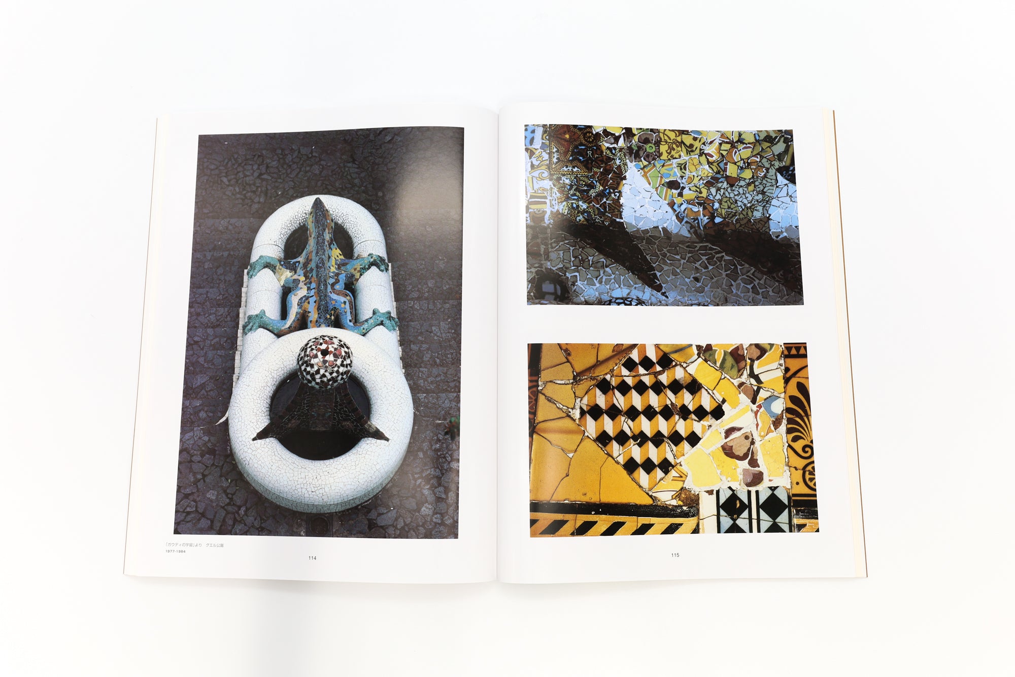 A World of Eikoh Hosoe: Spherical Dualism of Photography