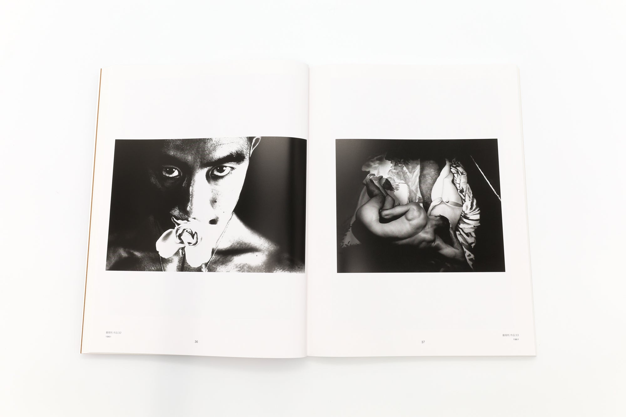 A World of Eikoh Hosoe: Spherical Dualism of Photography