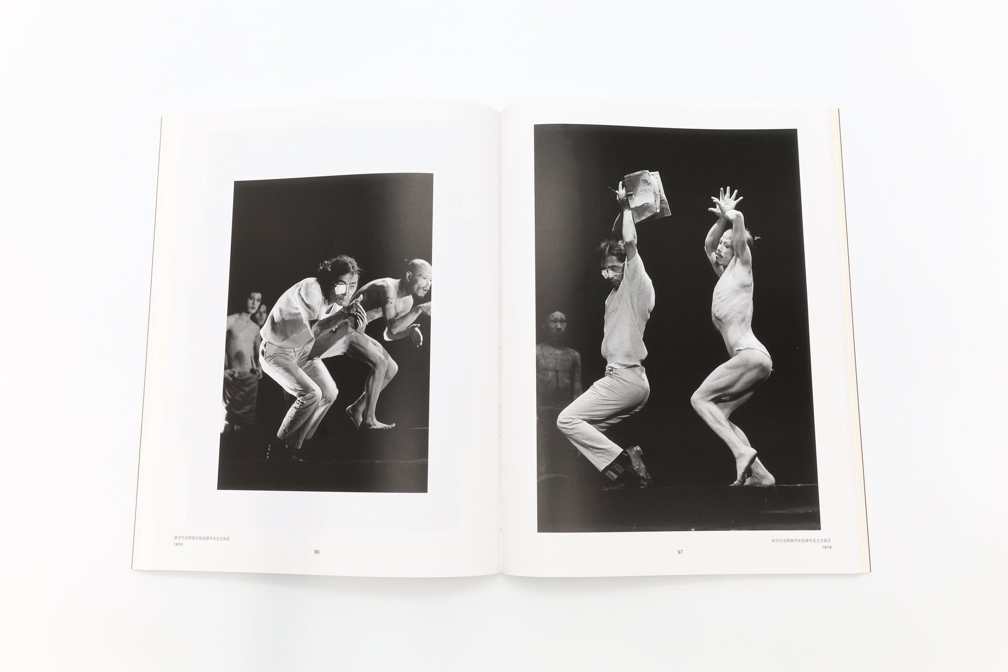 A World of Eikoh Hosoe: Spherical Dualism of Photography