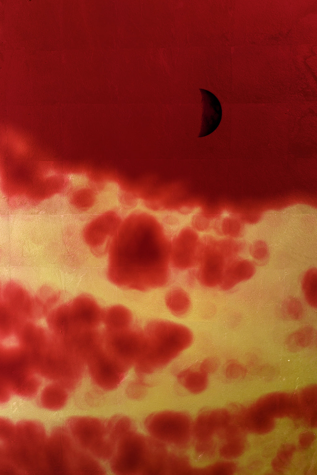 Albarrán Cabrera - Fenêtres sur l'insolite