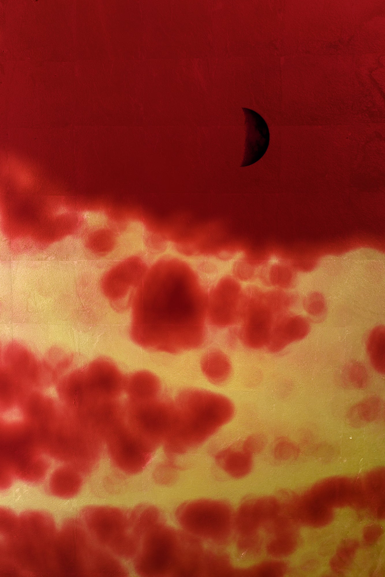 Albarrán Cabrera - Fenêtres sur l'insolite