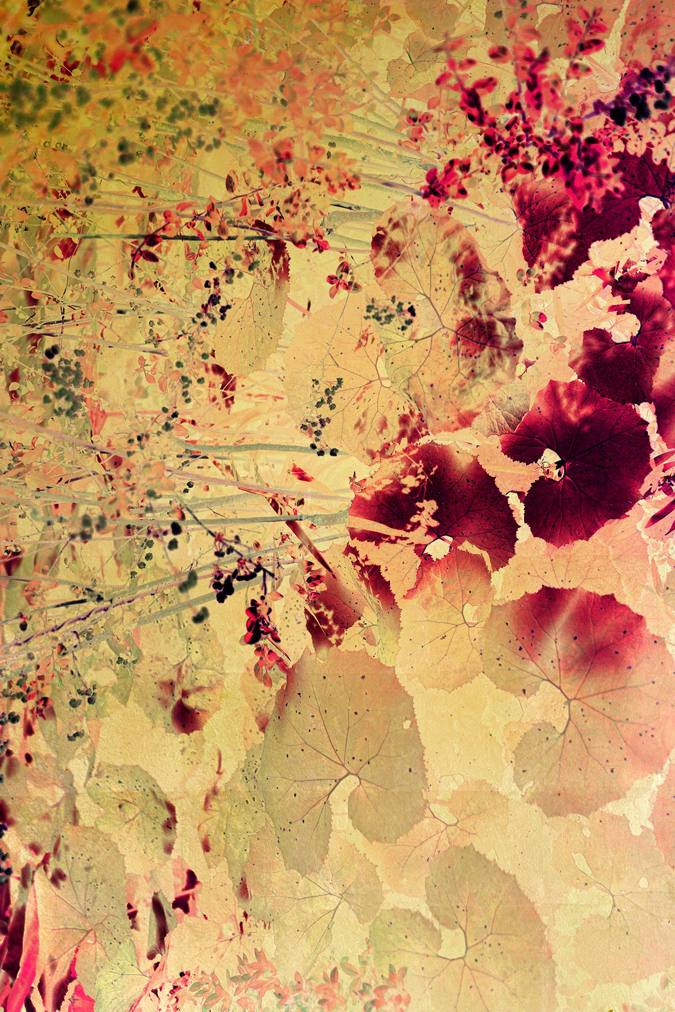 Albarrán Cabrera - Fenêtres sur l'insolite