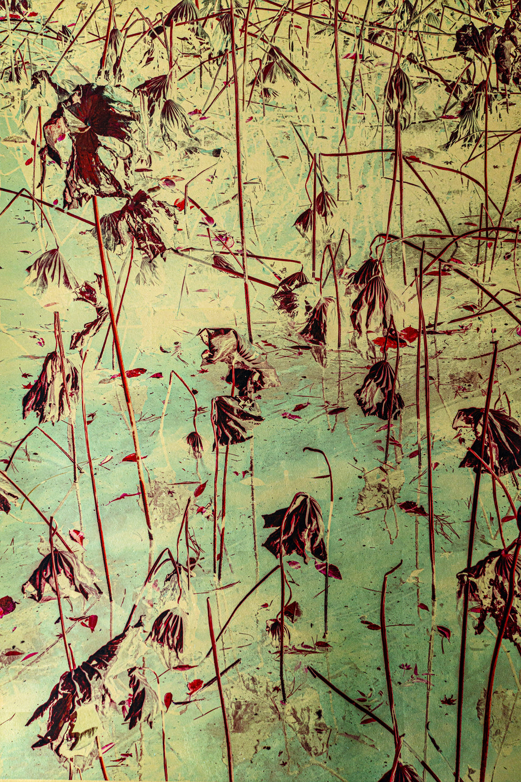 Albarrán Cabrera - Fenêtres sur l'insolite