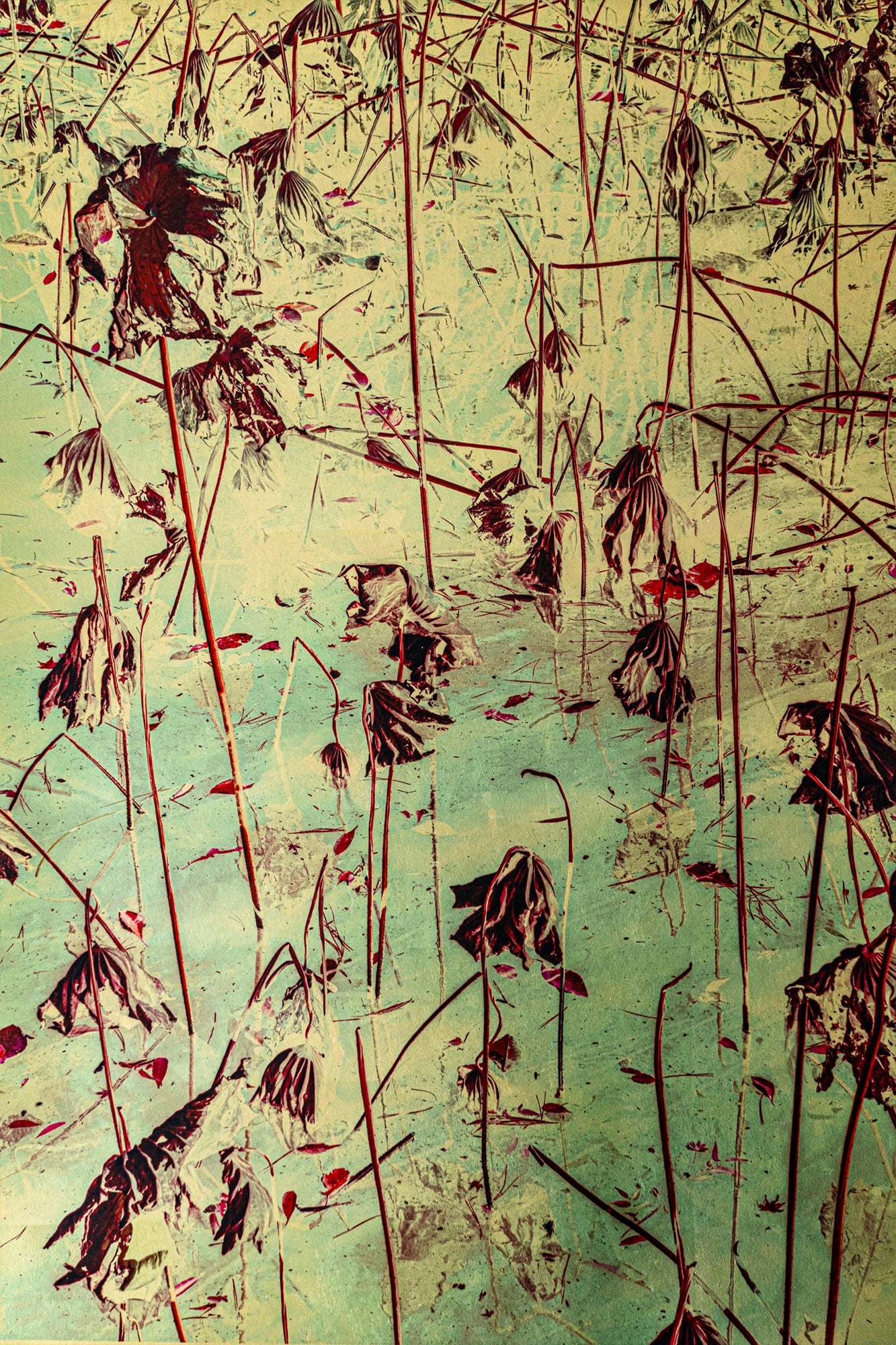 Albarrán Cabrera - Fenêtres sur l'insolite