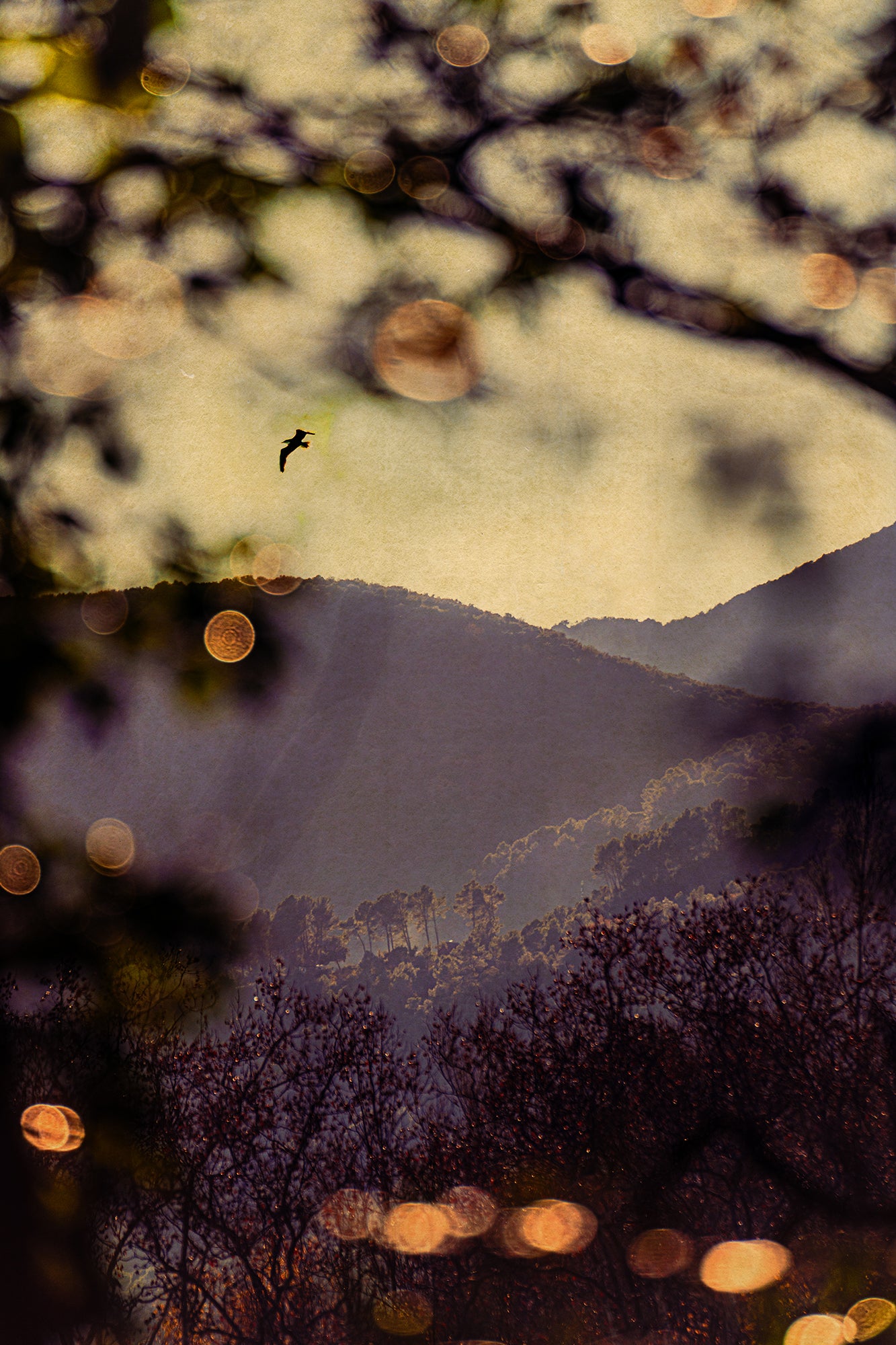 Albarrán Cabrera - Fenêtres sur l'insolite