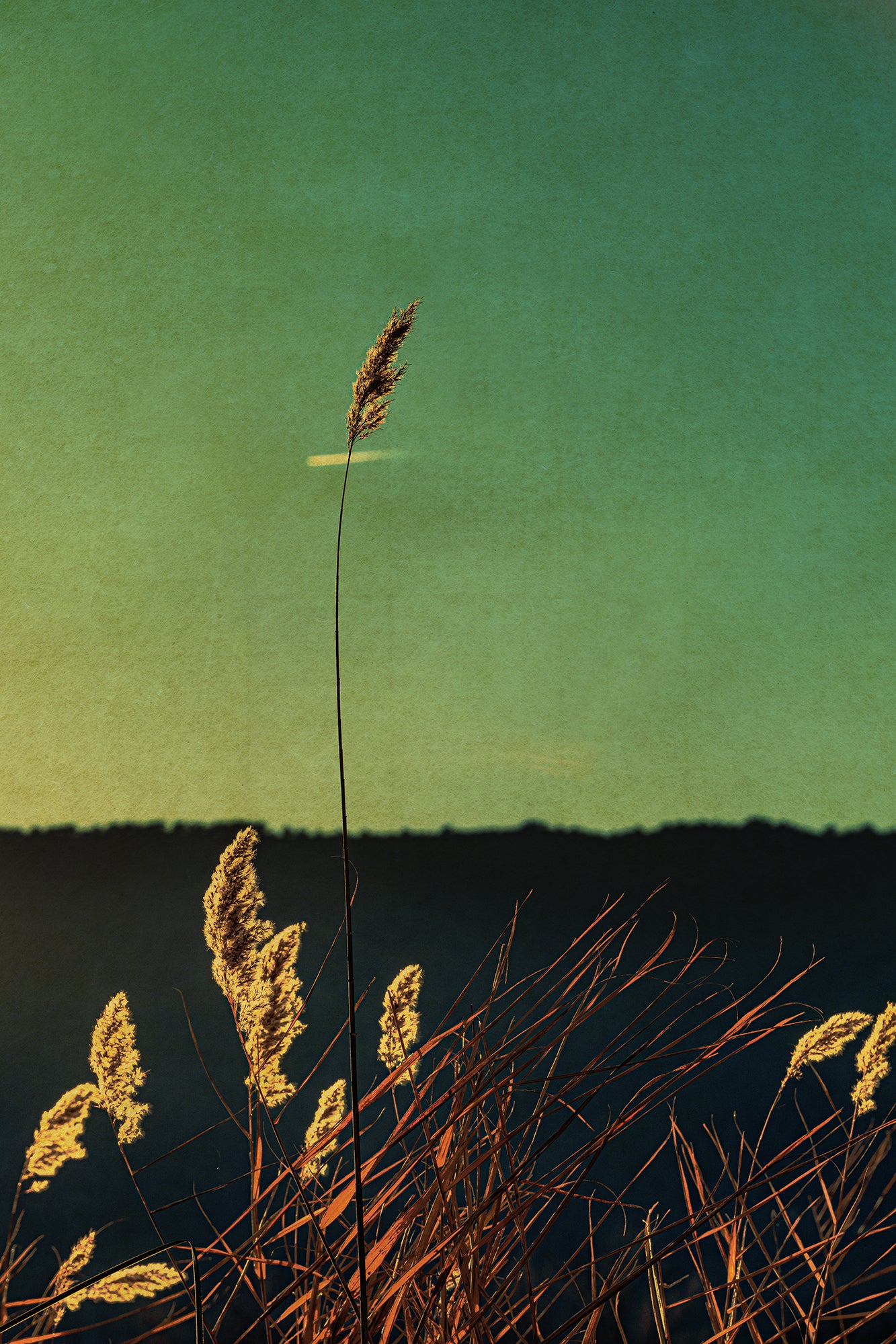 Albarrán Cabrera - Fenêtres sur l'insolite