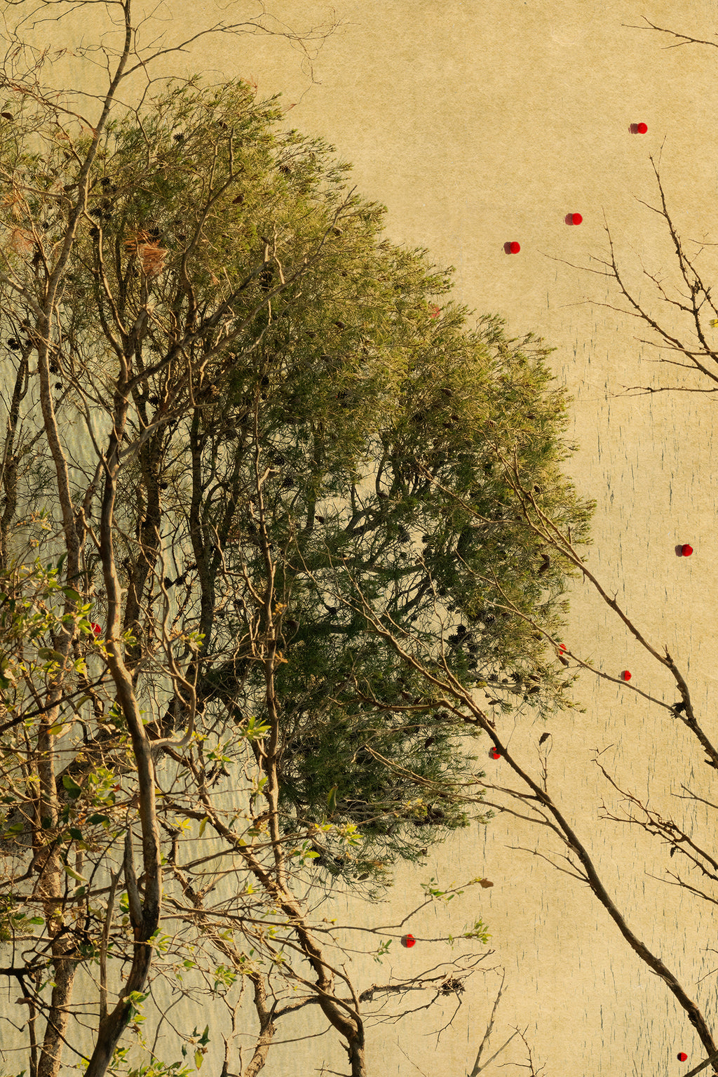 Albarrán Cabrera - Fenêtres sur l'insolite