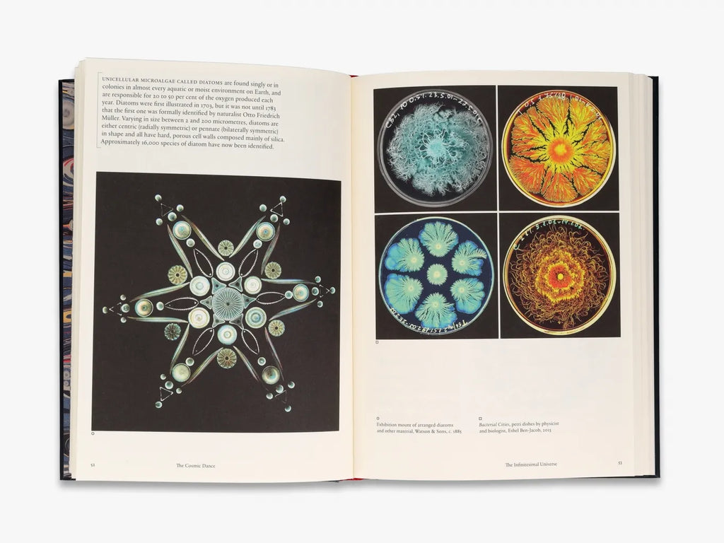 Stephen Ellcock - The Cosmic Dance