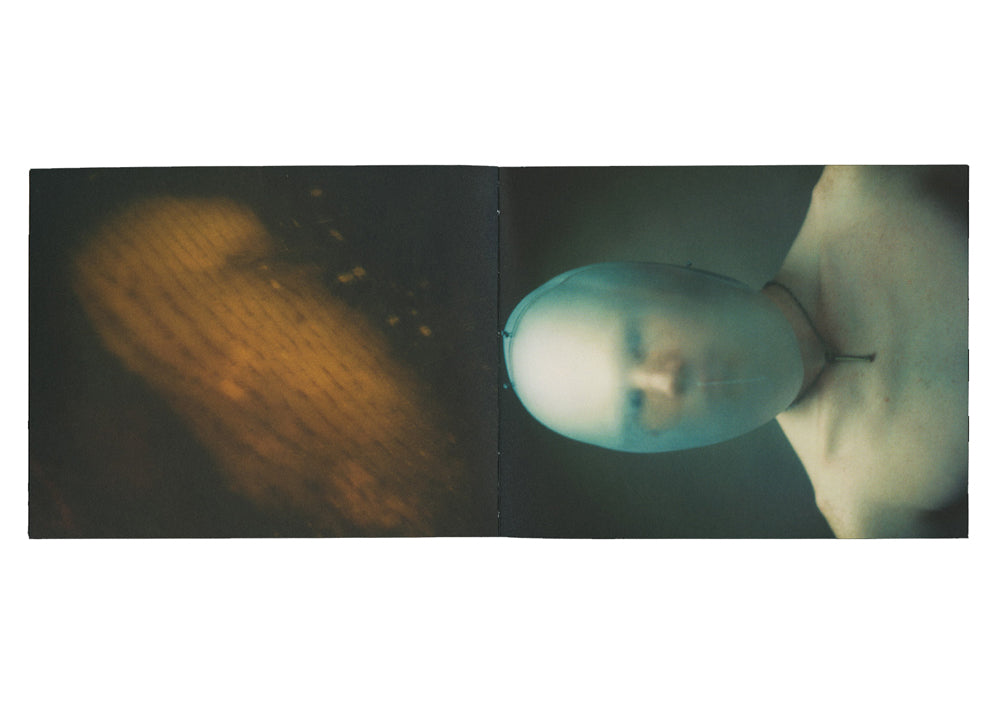 Martina Hoogland Ivanow - Shadow Works, living the Dream