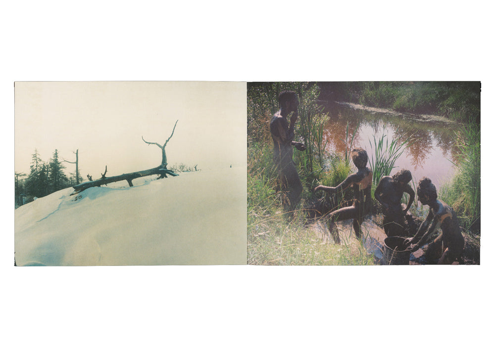 Martina Hoogland Ivanow - Shadow Works, living the Dream