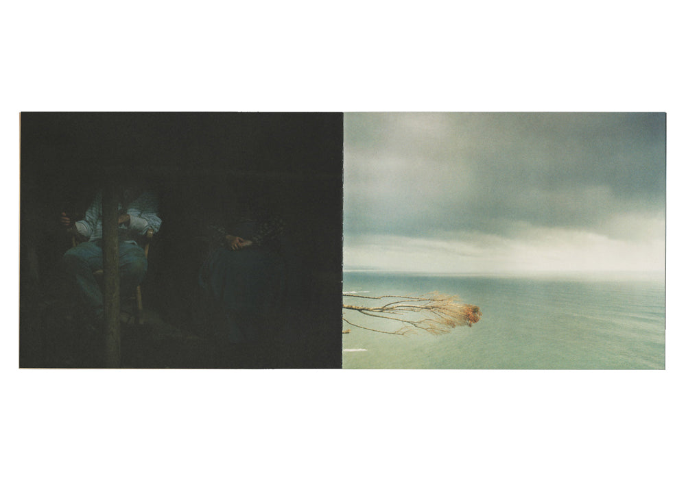 Martina Hoogland Ivanow - Shadow Works, living the Dream