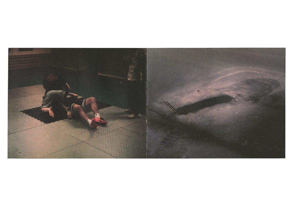 Martina Hoogland Ivanow - Shadow Works, living the Dream