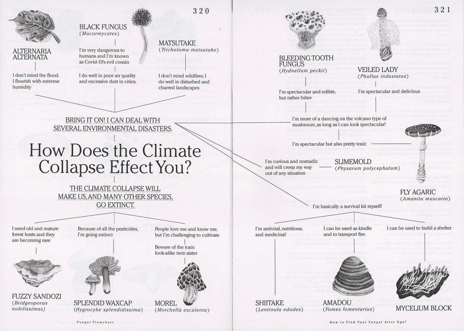 Yasmine Ostendorf-Rodríguez - Let's Become Fungal!