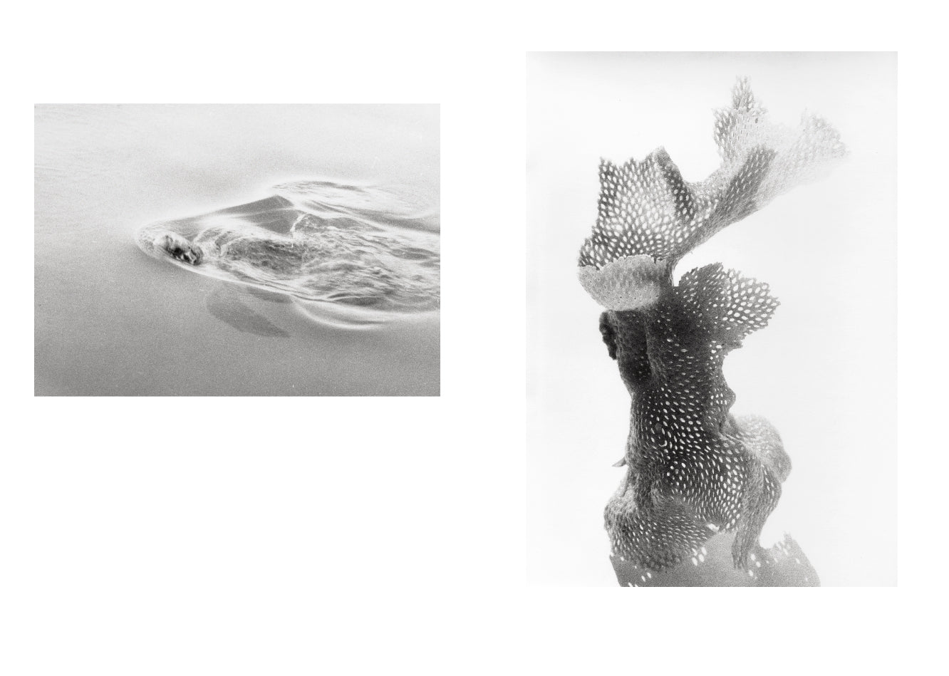 Jochen Lempert - Local Ecology - Kastellorizo