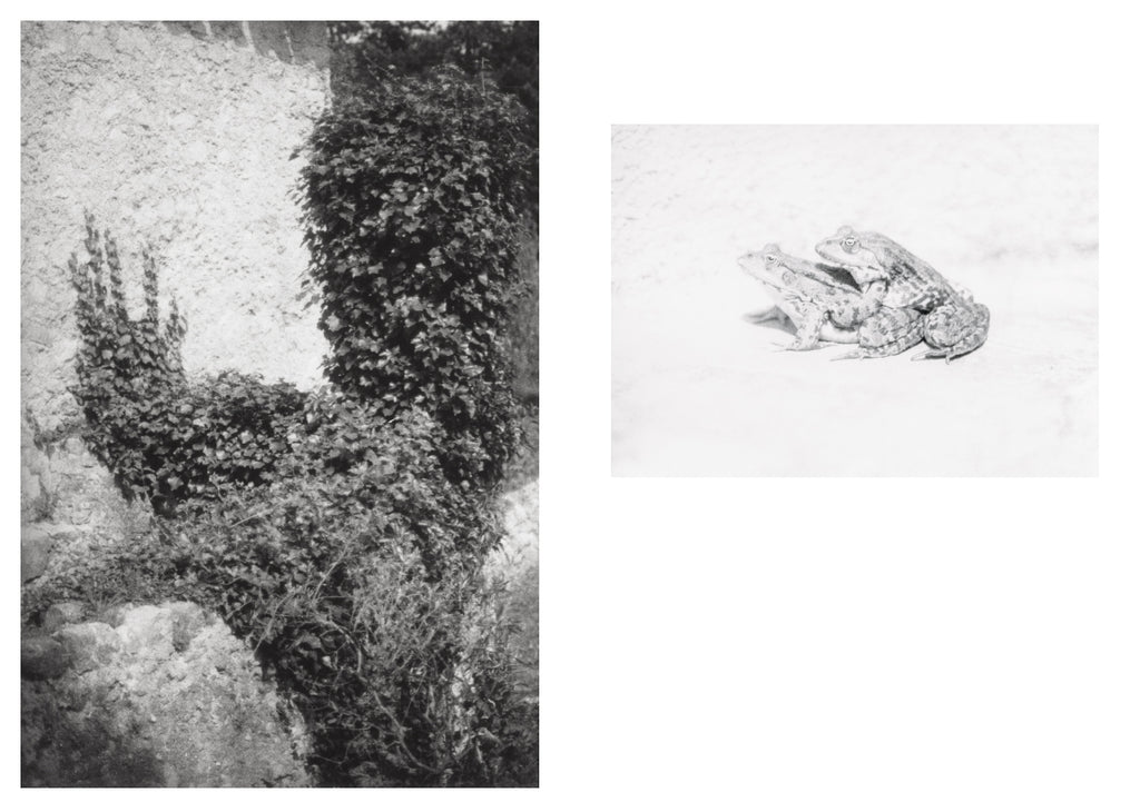 Jochen Lempert - Local Ecology - Moulin des Ribes