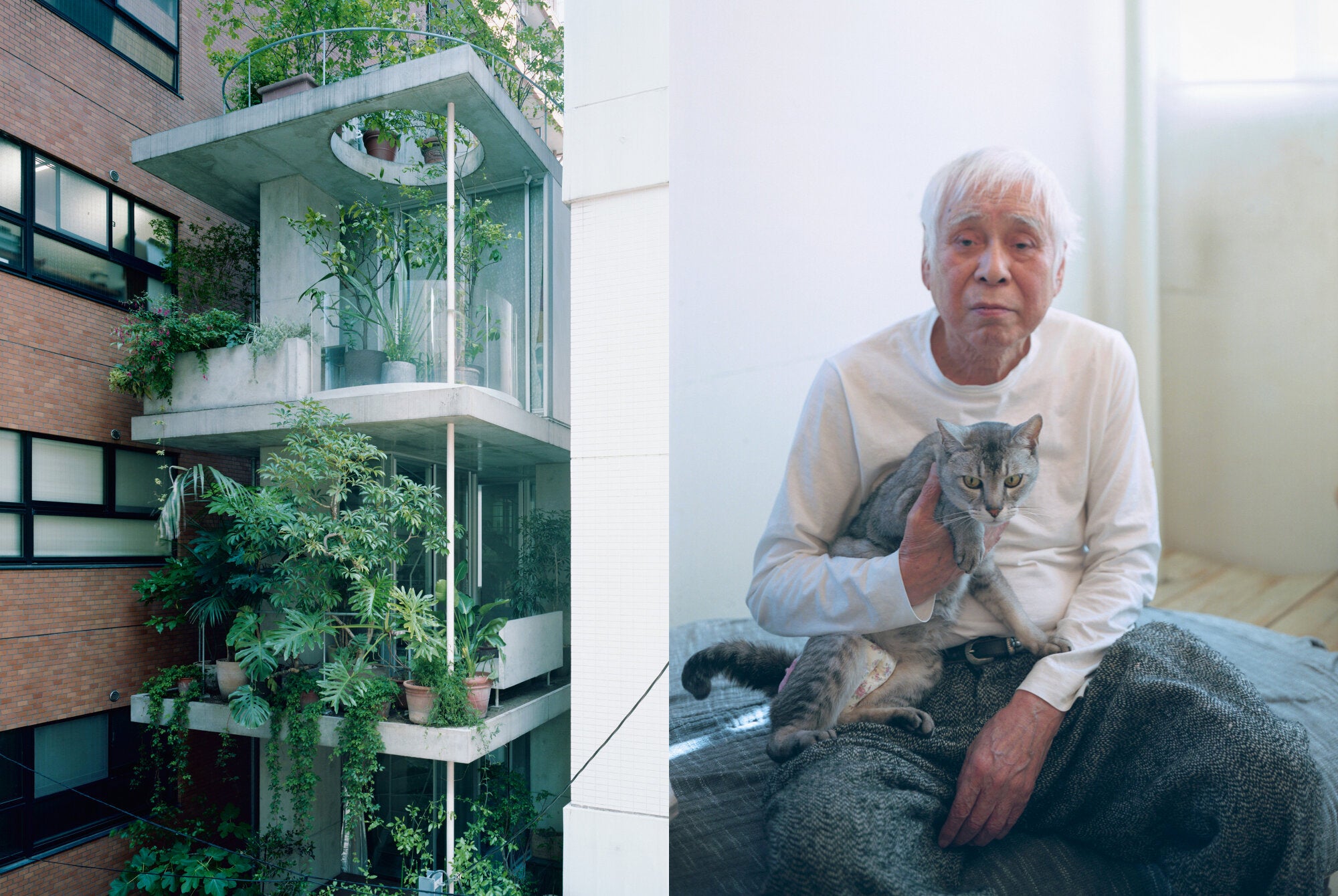 Takashi Homma - Tokyo Olympia