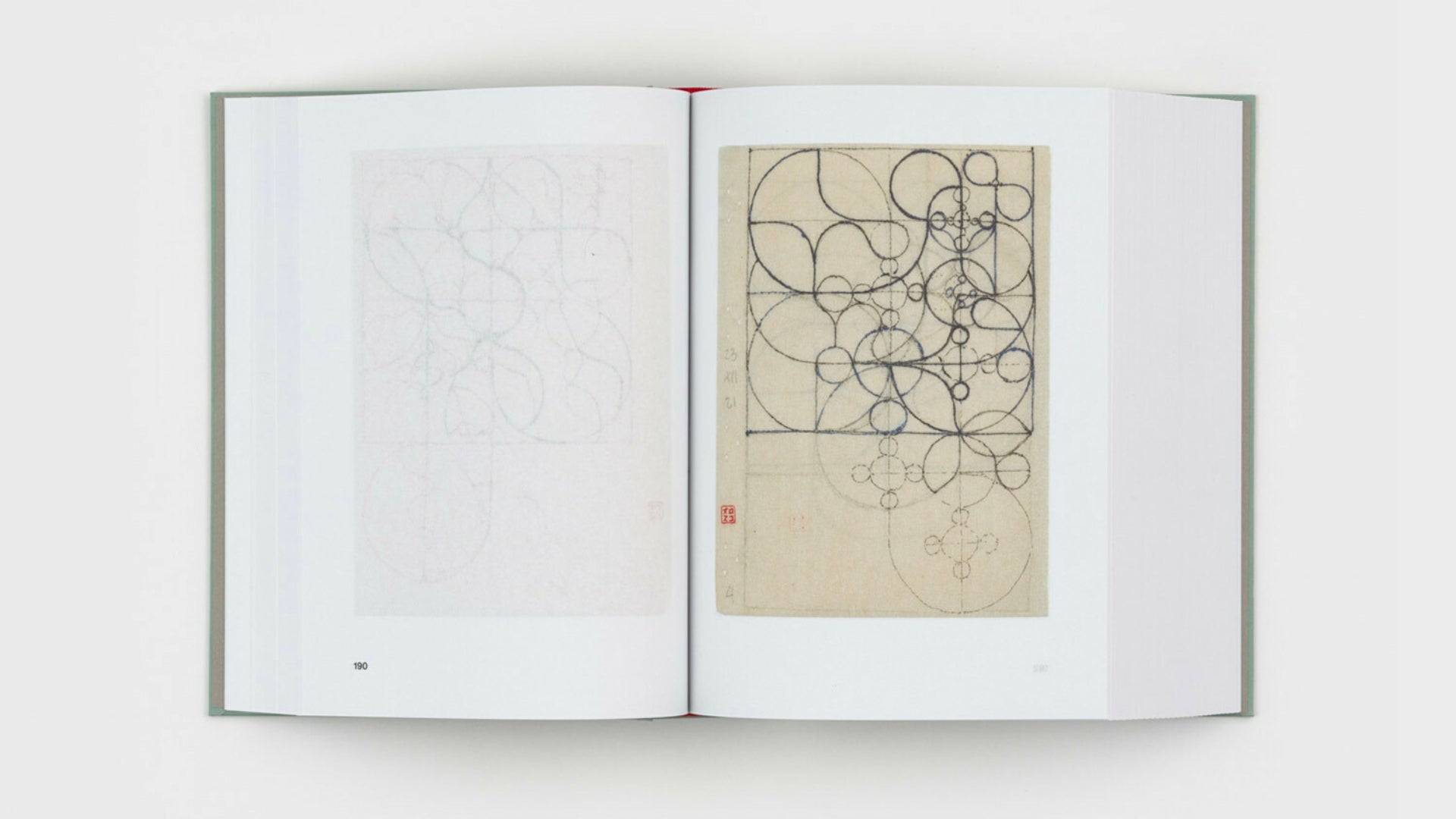 Gabriel Orozco - Diario de Plantas